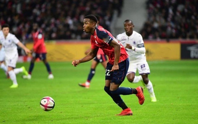 月份的渗透 月份的渗透