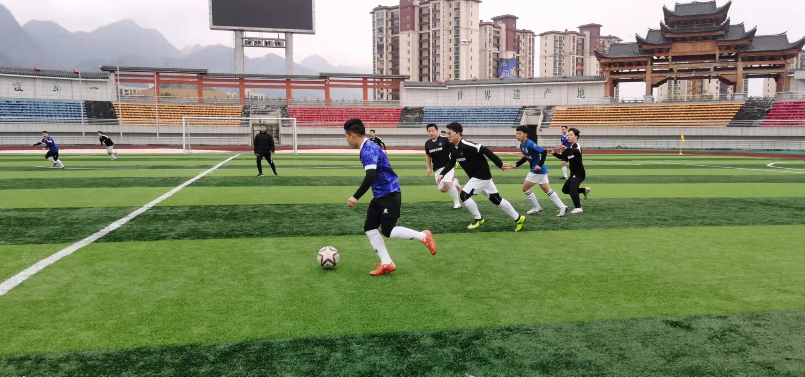 多面手